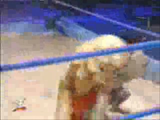 WWF: 1st. Mud Match 7th Anniversary
