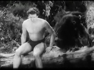 Tarzan's Revenge