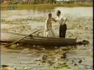 Hochzeit auf Immenhof (1958)