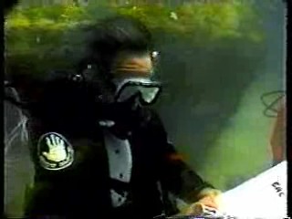 Underwater Wedding,  What Would You Do