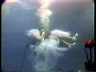Underwater Wedding,  What Would You Do