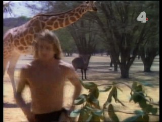 Tarzan and the Mysterious Sheik