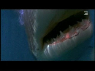 Shark Attack 3 - Megalodon, #2/2