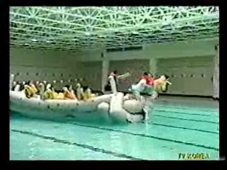 German TV,  Flight Attendant's Pool Training