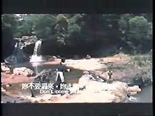 Hong Kong movies (2)