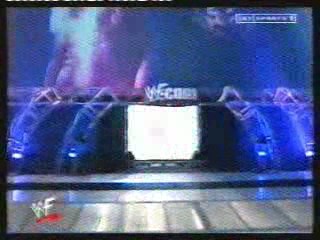 WWE Xmas Catfight