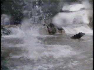 Remington Steele; At a Waterfall