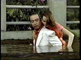 Japanese comedy show - wetlook and pies