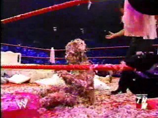WWE tarred and feathered