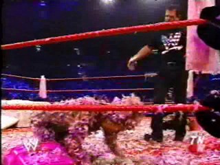 WWE tarred and feathered