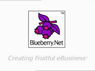 Blueberry.net advertisment