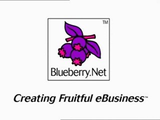 Blueberry.net advertisment