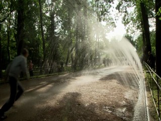 The Fountains of Peterhof