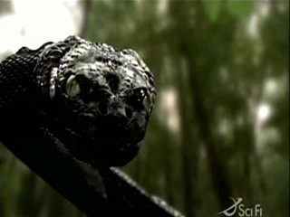 Anaconda 3 mud scene