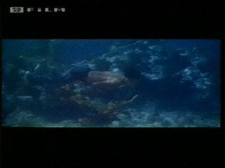 Beneath 12 Mile Reef (1953)