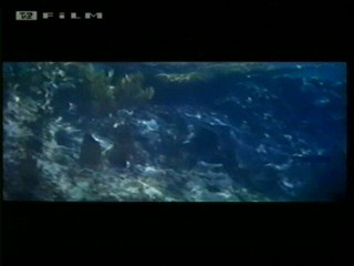 Beneath 12 Mile Reef (1953)