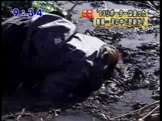 Japanese girl into the mud.