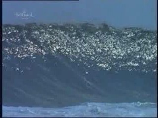 Tidal Wave: No Escape