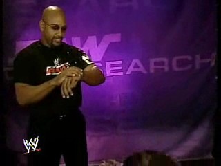 WWE Diva 2005