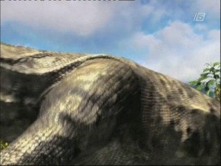 Island Of Beasts (Komodo Vs. Cobra)