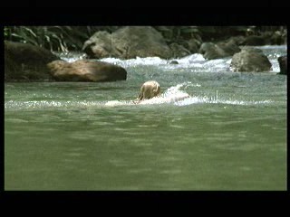 Tarzan the Ape Man (1981) scene# 4/9