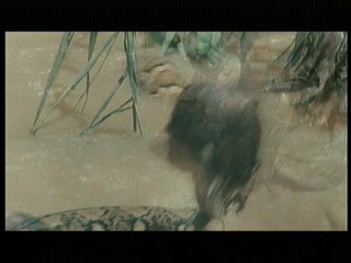 Tarzan the Ape Man (1981) scene# 8/9