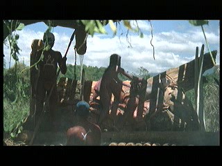 Tarzan the Ape Man (1981) scene# 9/9