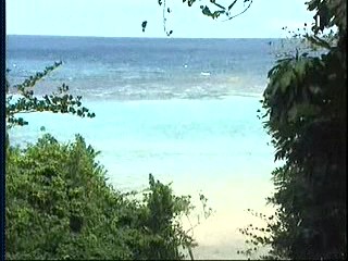 Dunn's River Falls in Jamaica