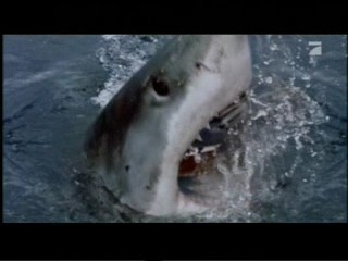 Shark Attack 3 - Megalodon, #1/2