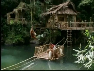The New Swiss Family Robinson, #2/2