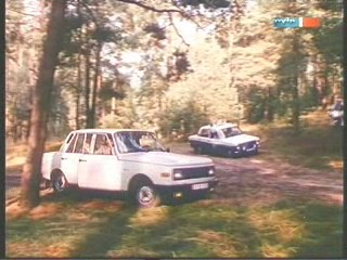 Polizeiruf 110 - Der Mann im Baum