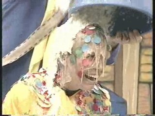 ana gunged on buzzy bees