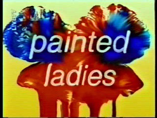 Painted Ladies - 6