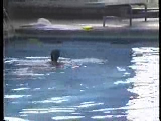 Sammy Jane in the pool