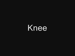 Just below the knee