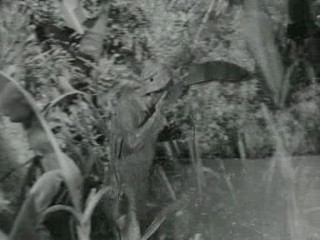 Gilligan's Island (1964)- Voodoo Something to Me (Ep.2)