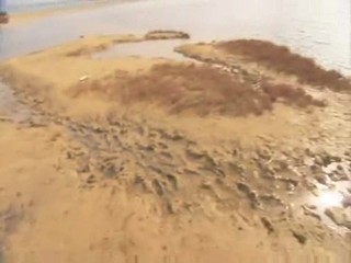 Beach Spa: mud bath