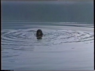Swim in a lake