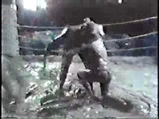 Vintage Mud Wrestling