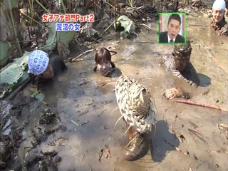 Japanese mud scene