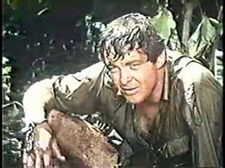 Tarzan (1968 tv series),  General Hospital
