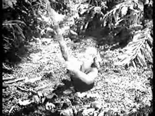Saturday Night Live,  Tarzan's Hidden Jungle