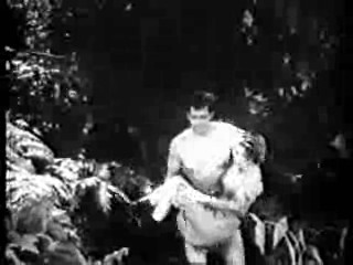 Saturday Night Live,  Tarzan's Hidden Jungle